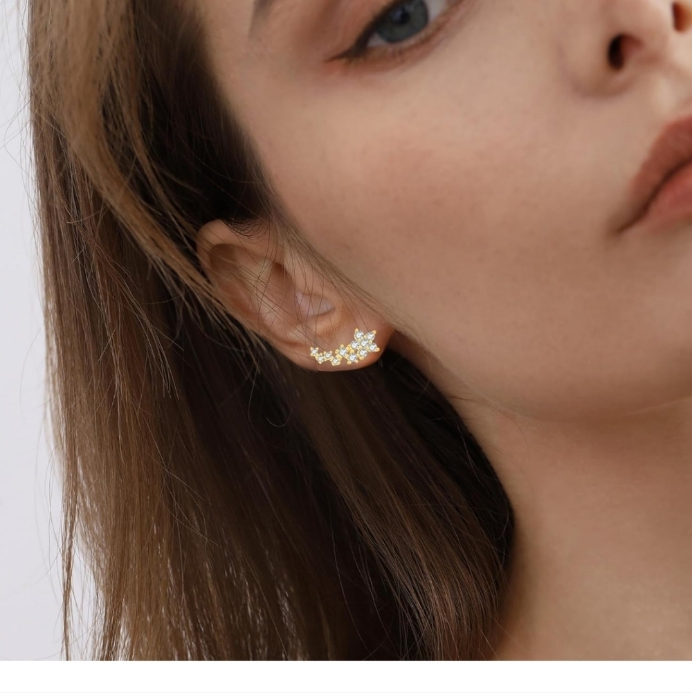 Elegant Gold and Silver Women's Earrings - Picture 4 of 5